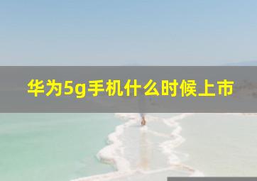 华为5g手机什么时候上市