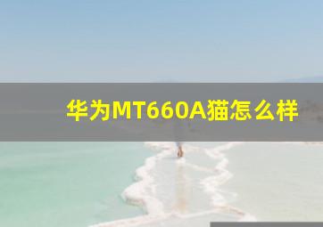 华为MT660A猫怎么样(