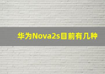 华为Nova2s目前有几种