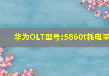 华为OLT型号:5860t耗电量