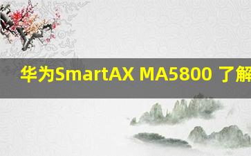 华为SmartAX MA5800 了解产品 