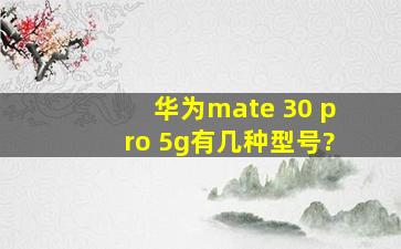 华为mate 30 pro 5g有几种型号?