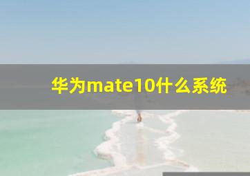 华为mate10什么系统