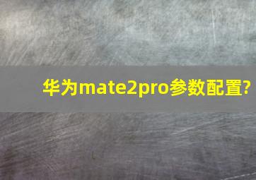 华为mate2pro参数配置?