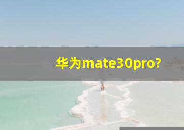 华为mate30pro?