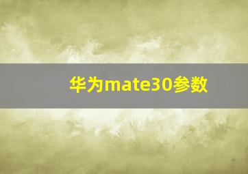 华为mate30参数