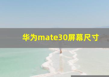 华为mate30屏幕尺寸