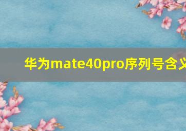 华为mate40pro序列号含义