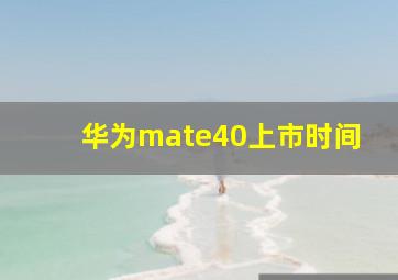 华为mate40上市时间