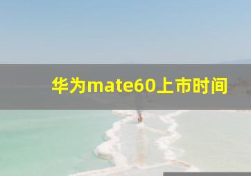 华为mate60上市时间