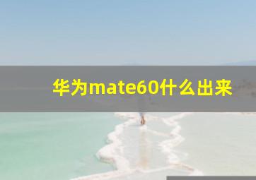 华为mate60什么出来