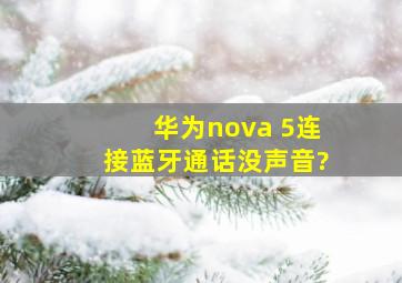 华为nova 5连接蓝牙通话没声音?