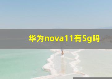 华为nova11有5g吗(