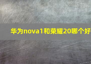 华为nova1和荣耀20哪个好(