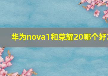 华为nova1和荣耀20哪个好?