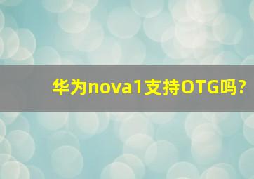 华为nova1支持OTG吗?