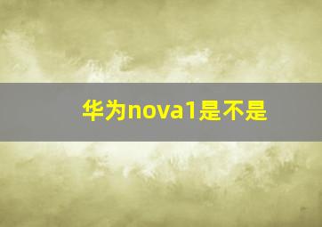 华为nova1是不是