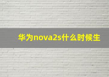 华为nova2s什么时候生