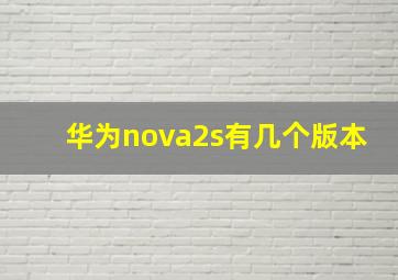 华为nova2s有几个版本