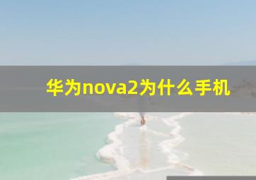 华为nova2为什么手机