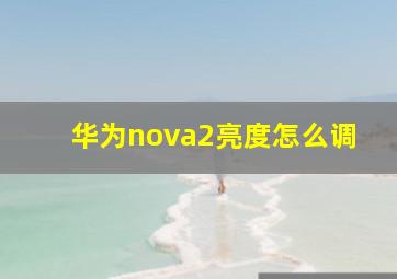 华为nova2亮度怎么调