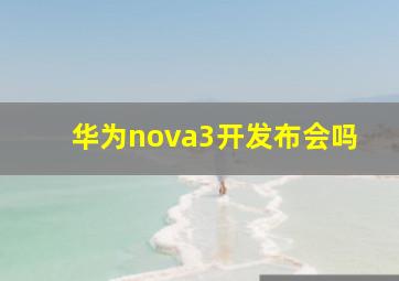 华为nova3开发布会吗