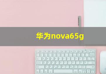 华为nova65g