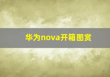 华为nova开箱图赏