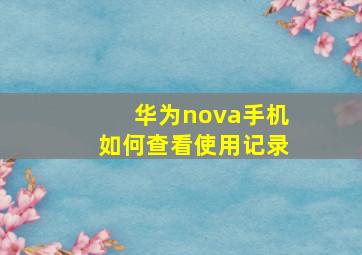 华为nova手机如何查看使用记录