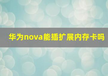 华为nova能插扩展内存卡吗(