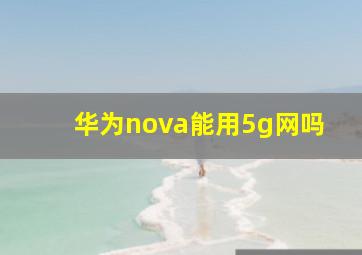 华为nova能用5g网吗
