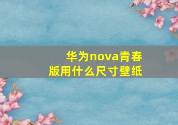 华为nova青春版用什么尺寸壁纸