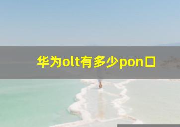 华为olt有多少pon口