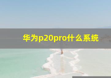 华为p20pro什么系统