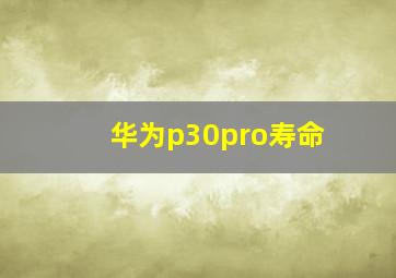 华为p30pro寿命