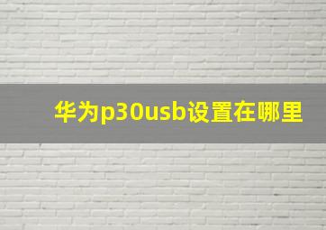 华为p30usb设置在哪里