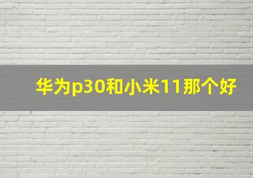 华为p30和小米11那个好(