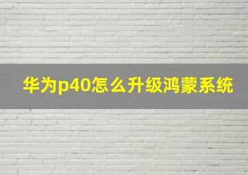 华为p40怎么升级鸿蒙系统