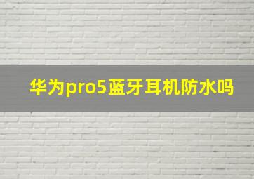 华为pro5蓝牙耳机防水吗(