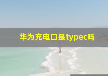 华为充电口是typec吗