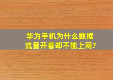 华为手机为什么数据流量开着,却不能上网?