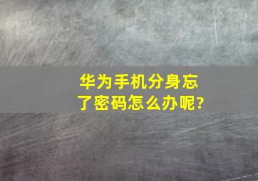 华为手机分身忘了密码怎么办呢?