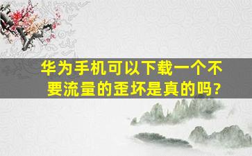 华为手机可以下载一个不要流量的歪坏是真的吗?