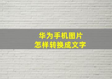 华为手机图片怎样转换成文字