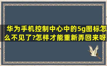 华为手机控制中心中的5g图标怎么不见了?怎样才能重新弄回来呀?