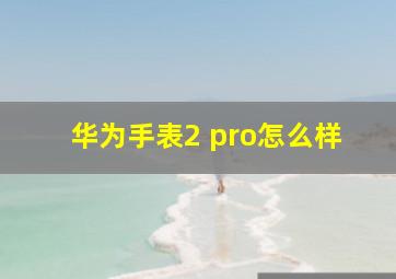 华为手表2 pro怎么样