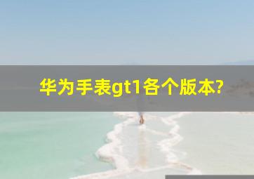 华为手表gt1各个版本?