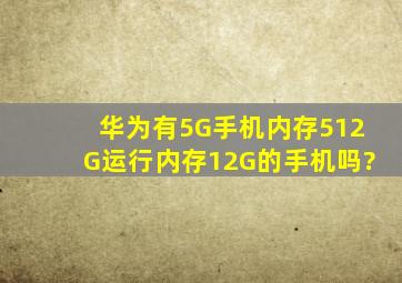 华为有5G手机内存512G运行内存12G的手机吗?