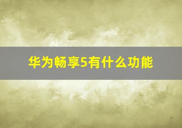 华为畅享5有什么功能