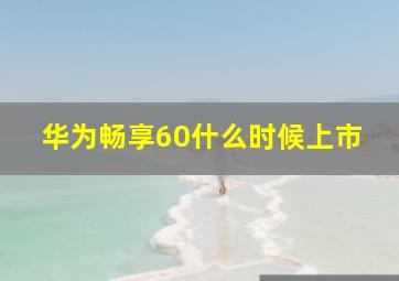 华为畅享60什么时候上市